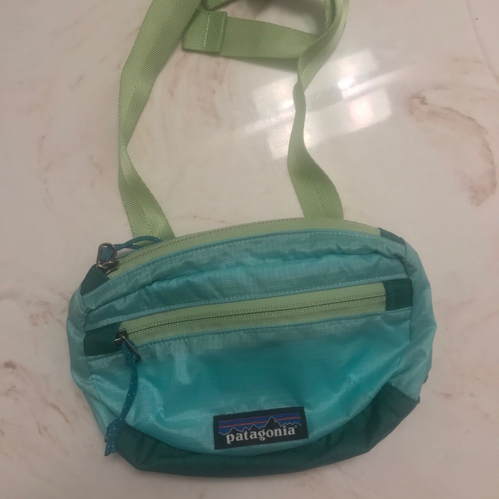 Patagonia Fanny pack